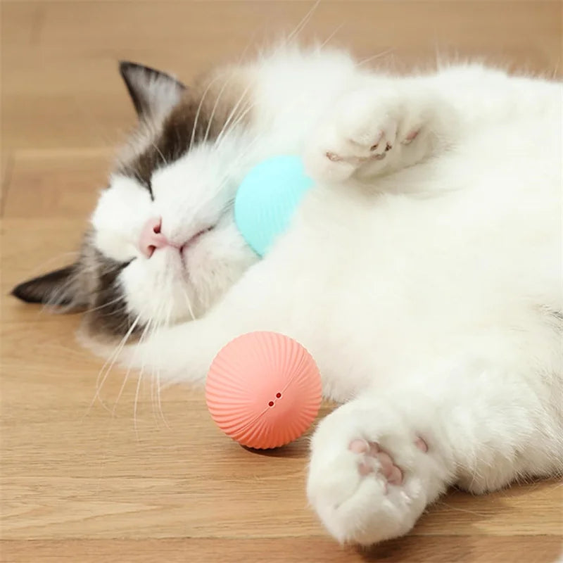 PawPlay Ball