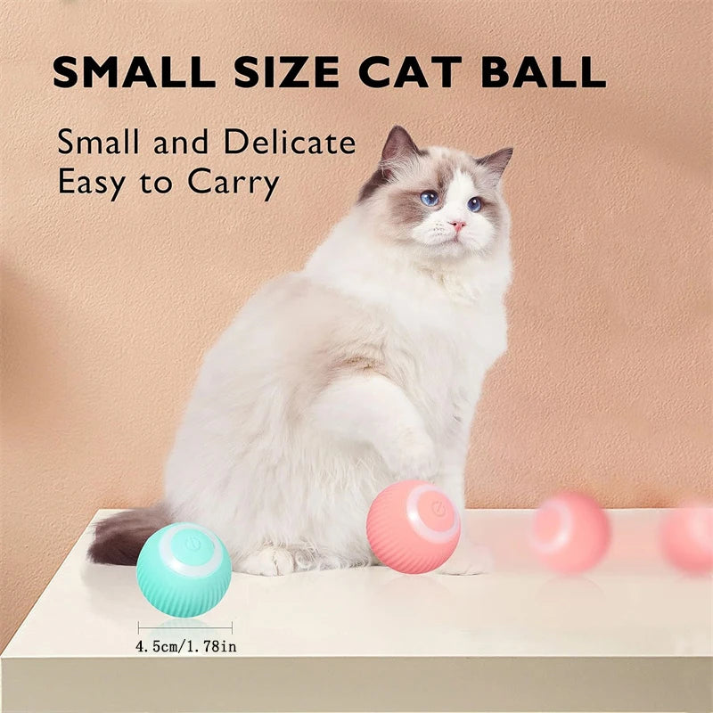 PawPlay Ball
