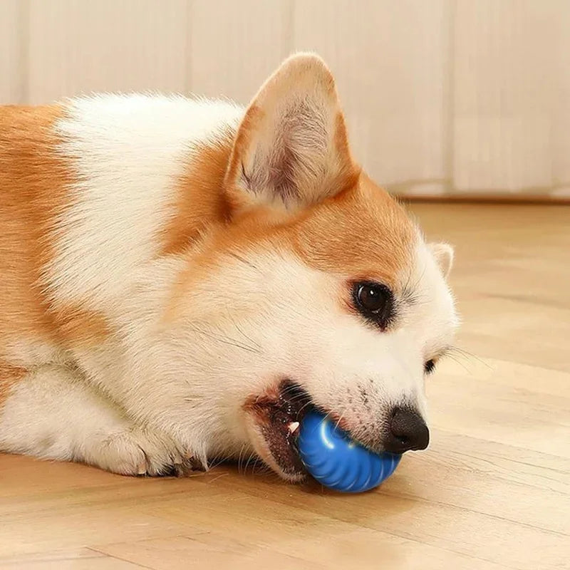 PawPlay Ball