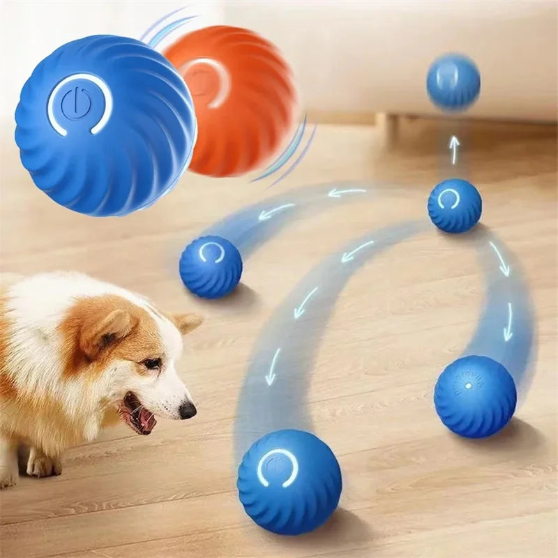 PawPlay Ball