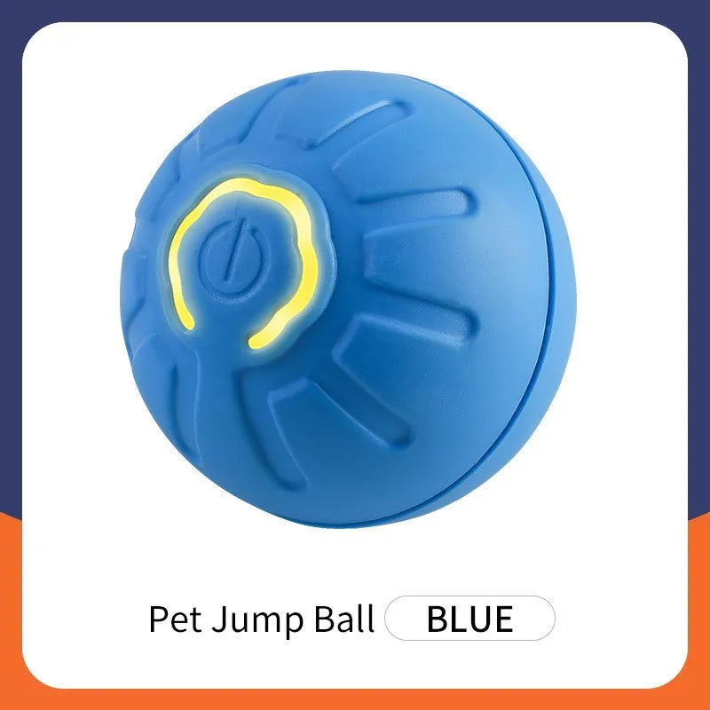 PawPlay Ball