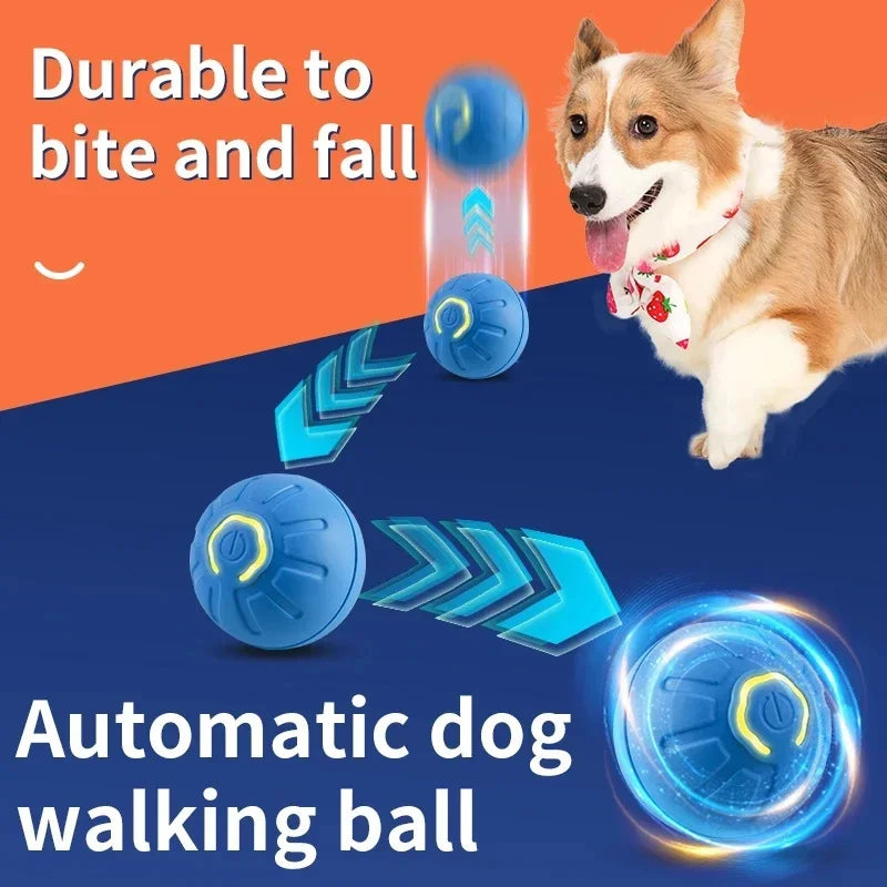 PawPlay Ball