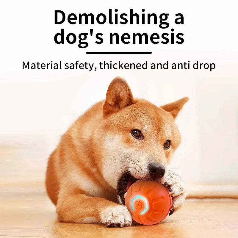 PawPlay Ball