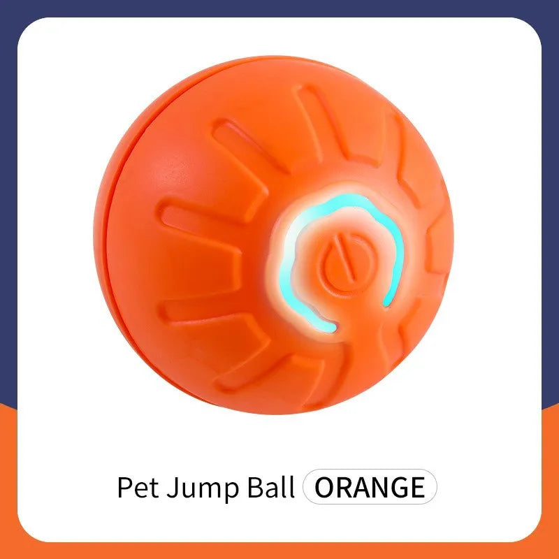 PawPlay Ball