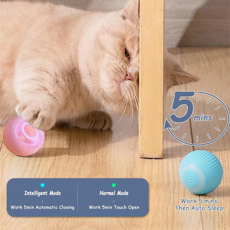PawPlay Ball