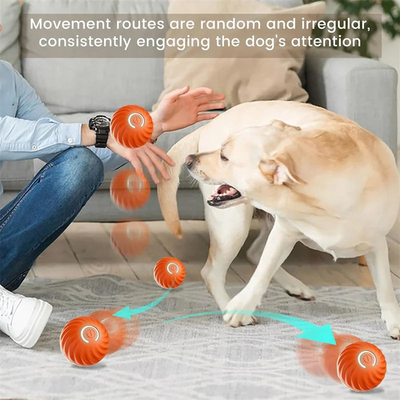 PawPlay Ball
